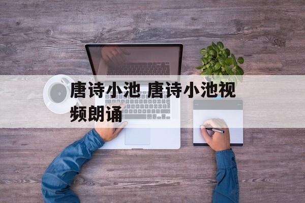 唐诗小池 唐诗小池视频朗诵
