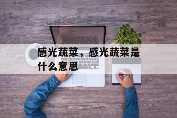 感光蔬菜，感光蔬菜是什么意思