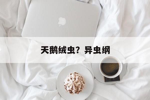 天鹅绒虫？异虫纲