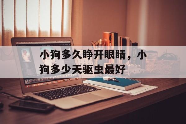 小狗多久睁开眼睛，小狗多少天驱虫最好