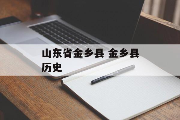 山东省金乡县 金乡县历史