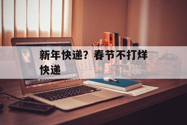 新年快递？春节不打烊快递