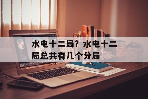 水电十二局？水电十二局总共有几个分局