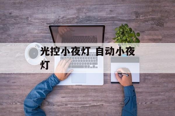 光控小夜灯 自动小夜灯