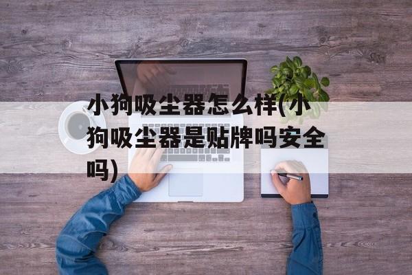 小狗吸尘器怎么样(小狗吸尘器是贴牌吗安全吗)