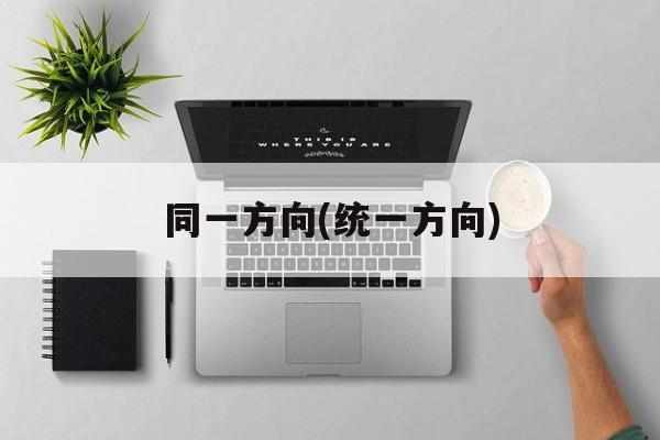 同一方向(统一方向)