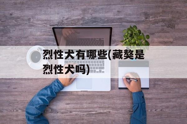 烈性犬有哪些(藏獒是烈性犬吗)