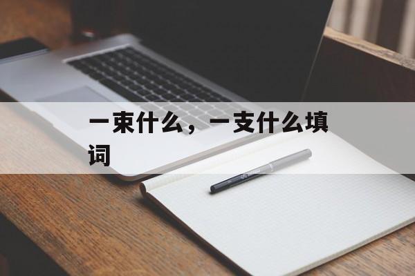 一束什么，一支什么填词