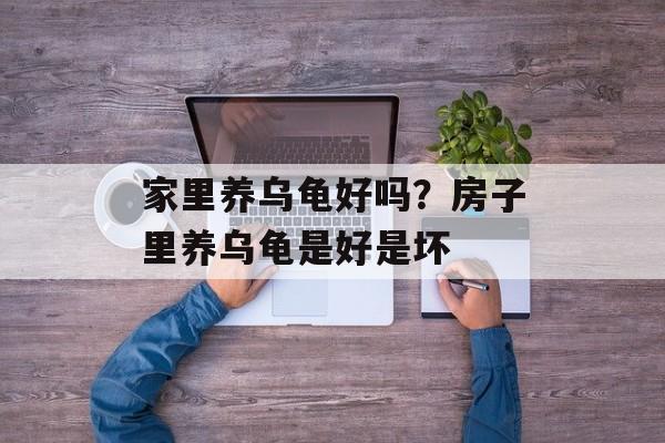 家里养乌龟好吗？房子里养乌龟是好是坏