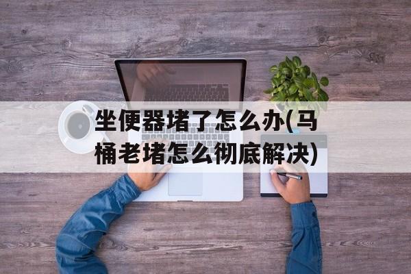 坐便器堵了怎么办(马桶老堵怎么彻底解决)