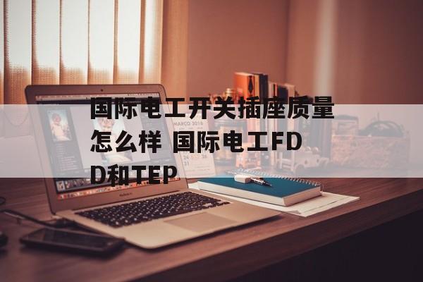 国际电工开关插座质量怎么样 国际电工FDD和TEP