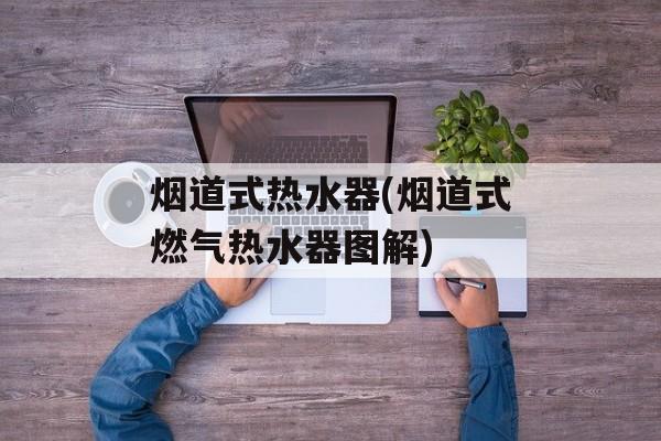 烟道式热水器(烟道式燃气热水器图解)