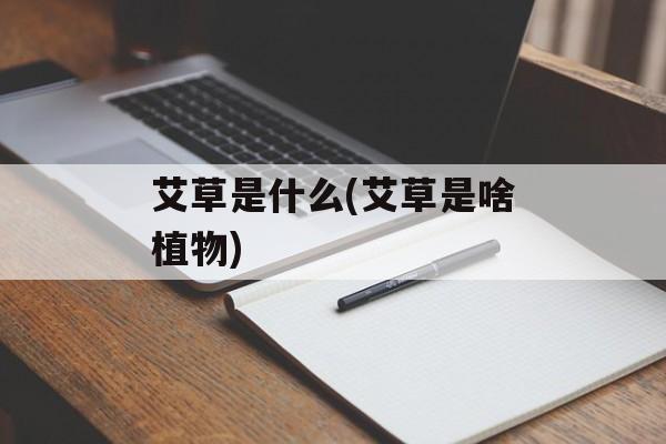 艾草是什么(艾草是啥植物)