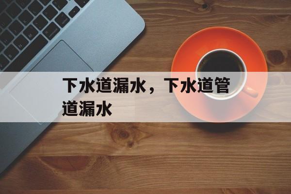 下水道漏水，下水道管道漏水