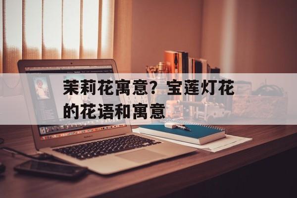 茉莉花寓意？宝莲灯花的花语和寓意