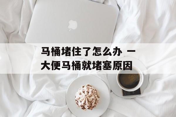 马桶堵住了怎么办 一大便马桶就堵塞原因