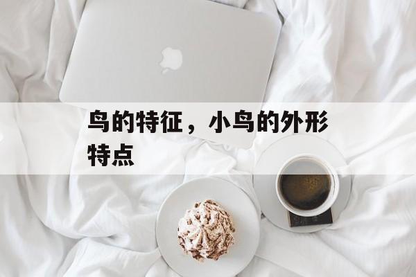鸟的特征，小鸟的外形特点