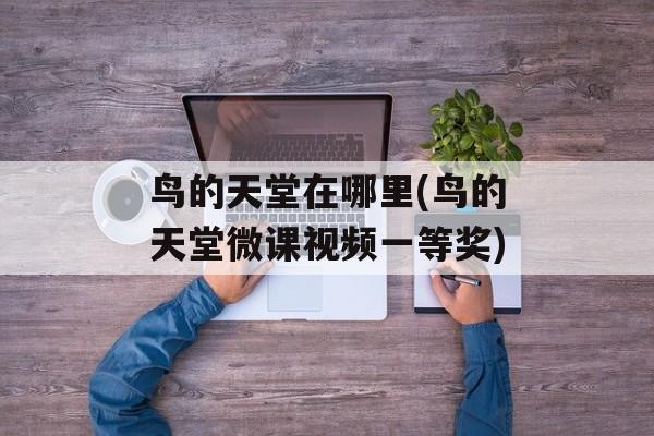 鸟的天堂在哪里(鸟的天堂微课视频一等奖)