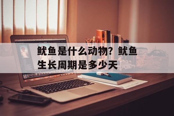 鱿鱼是什么动物？鱿鱼生长周期是多少天