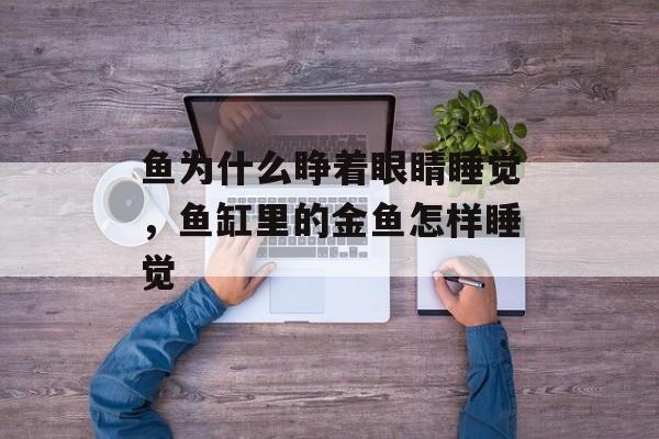 鱼为什么睁着眼睛睡觉，鱼缸里的金鱼怎样睡觉