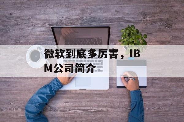 微软到底多厉害，IBM公司简介