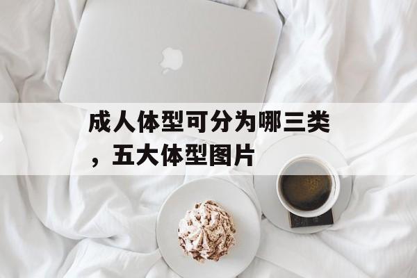 成人体型可分为哪三类，五大体型图片