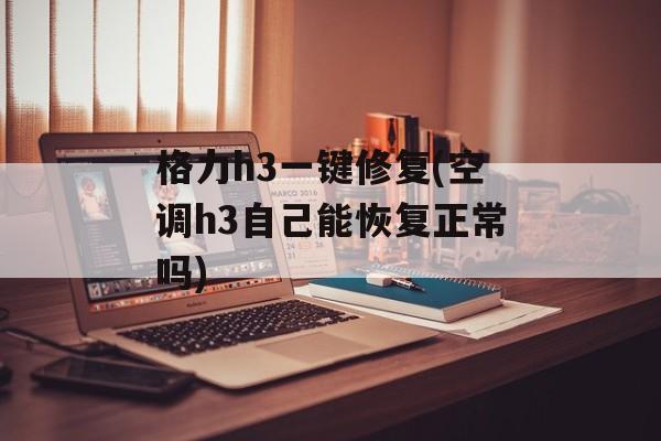 格力h3一键修复(空调h3自己能恢复正常吗)