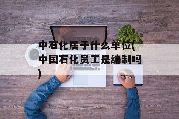 中石化属于什么单位(中国石化员工是编制吗)