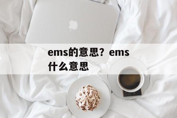 ems的意思？ems什么意思