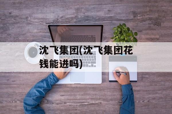 沈飞集团(沈飞集团花钱能进吗)