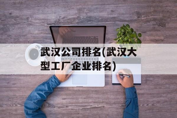 武汉公司排名(武汉大型工厂企业排名)