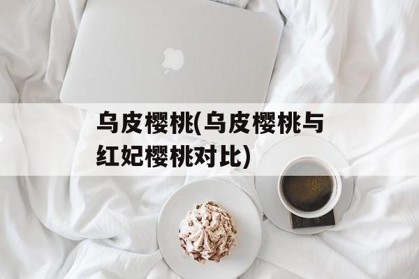 乌皮樱桃(乌皮樱桃与红妃樱桃对比)