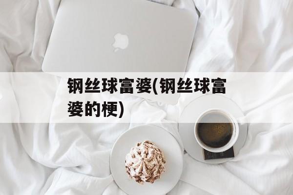 钢丝球富婆(钢丝球富婆的梗)