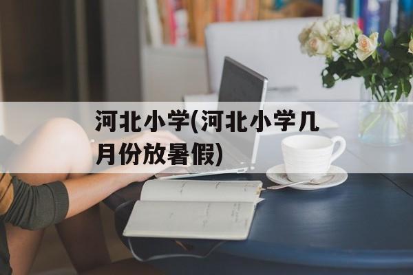 河北小学(河北小学几月份放暑假)