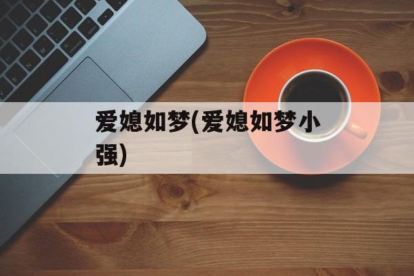 爱媳如梦(爱媳如梦小强)