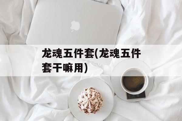 龙魂五件套(龙魂五件套干嘛用)