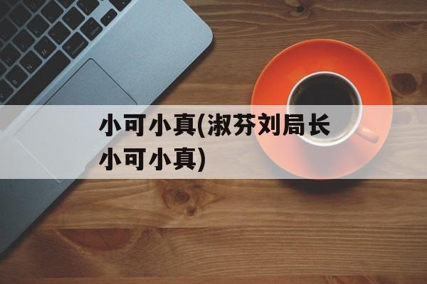 小可小真(淑芬刘局长小可小真)