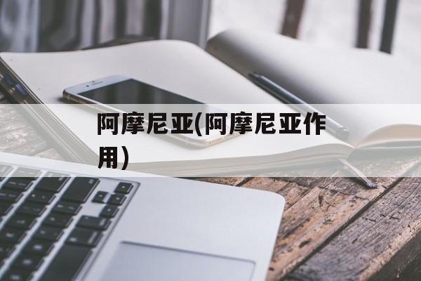 阿摩尼亚(阿摩尼亚作用)