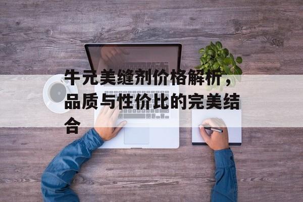 牛元美缝剂价格解析，品质与性价比的完美结合