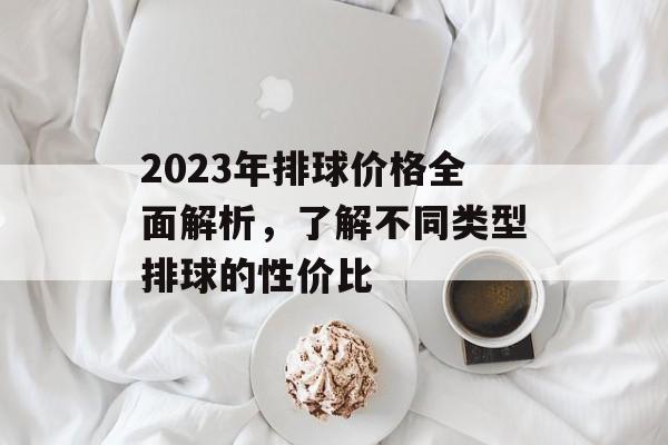 2023年排球价格全面解析，了解不同类型排球的性价比