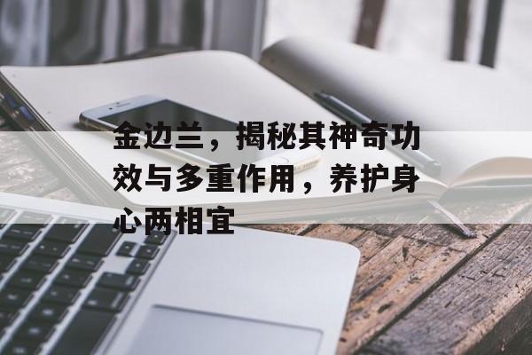 金边兰，揭秘其神奇功效与多重作用，养护身心两相宜