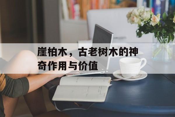 崖柏木，古老树木的神奇作用与价值