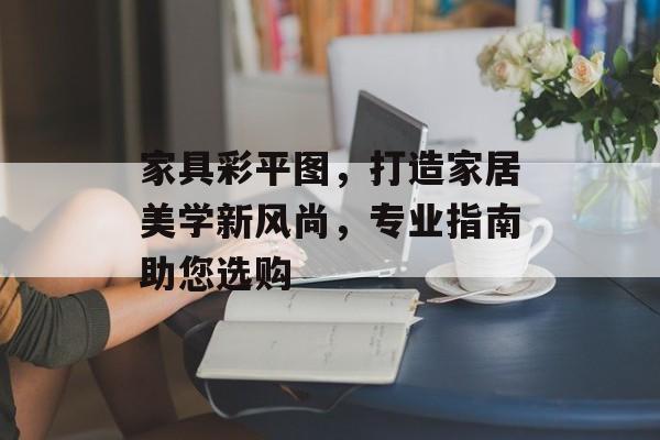 家具彩平图，打造家居美学新风尚，专业指南助您选购