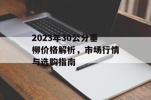 2023年30公分垂柳价格解析，市场行情与选购指南