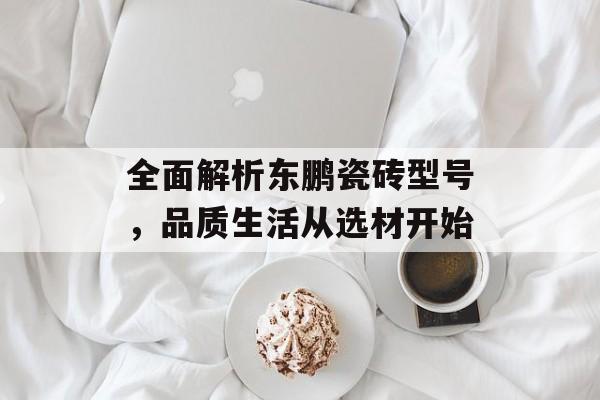全面解析东鹏瓷砖型号，品质生活从选材开始