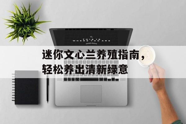 迷你文心兰养殖指南，轻松养出清新绿意