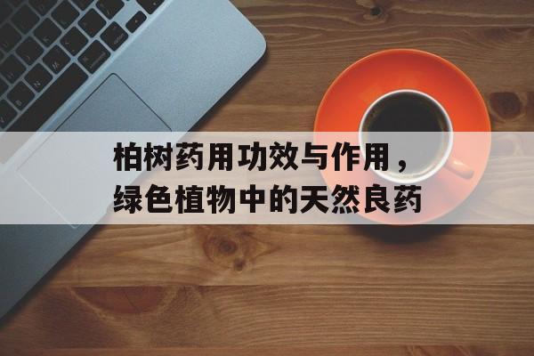 柏树药用功效与作用，绿色植物中的天然良药