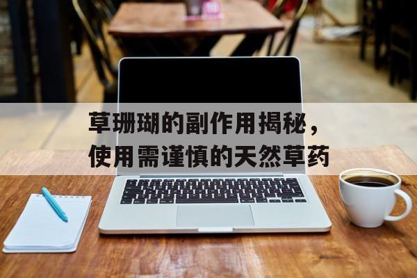 草珊瑚的副作用揭秘，使用需谨慎的天然草药