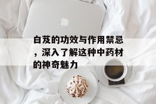 白芨的功效与作用禁忌，深入了解这种中药材的神奇魅力