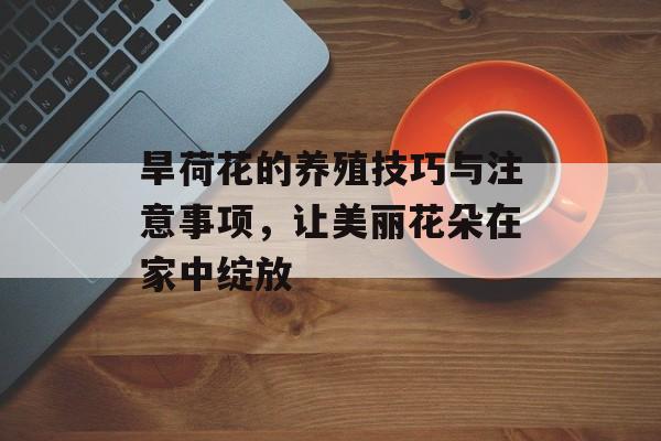 旱荷花的养殖技巧与注意事项，让美丽花朵在家中绽放